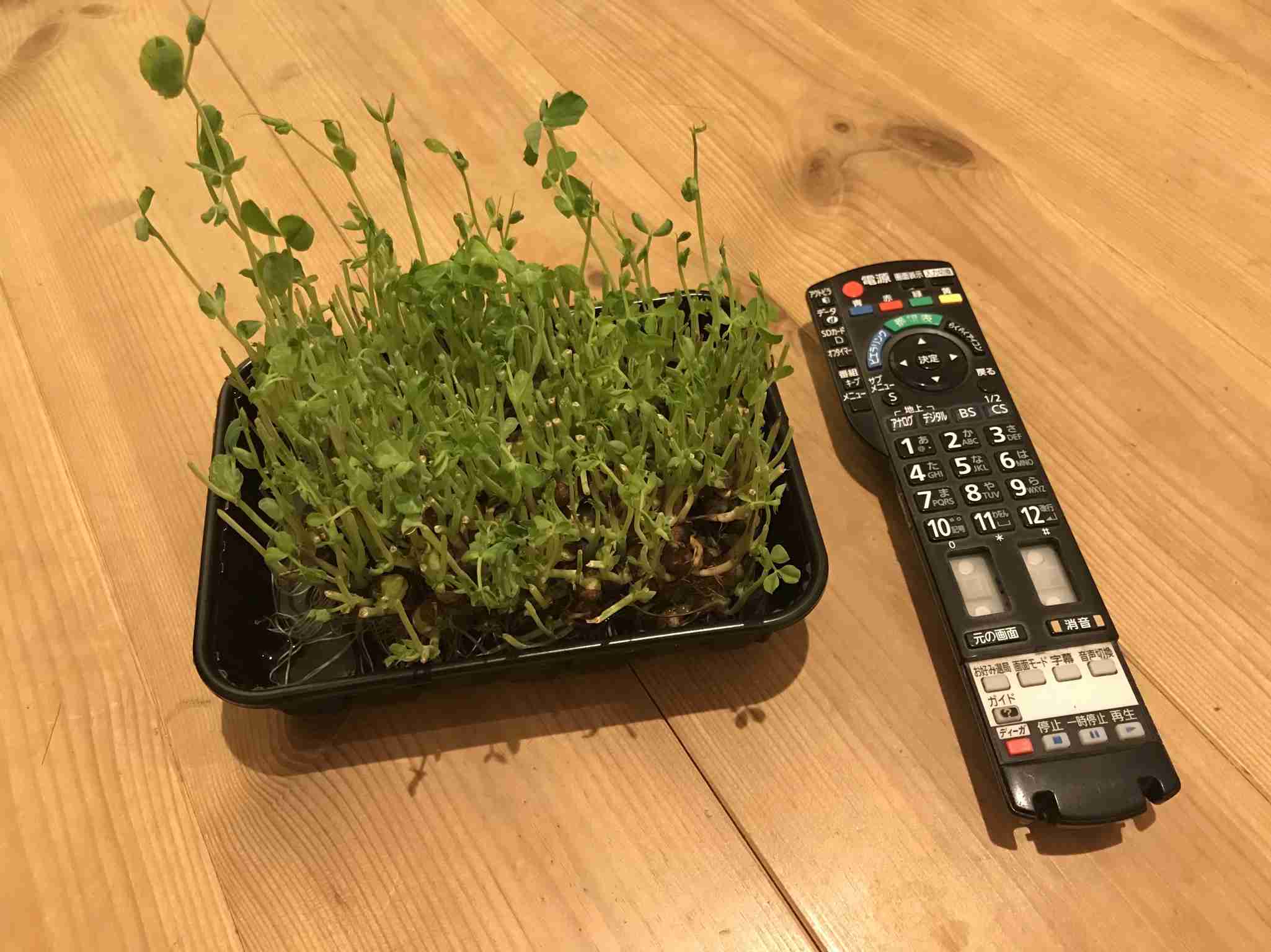 生活感溢れる写真☆part3