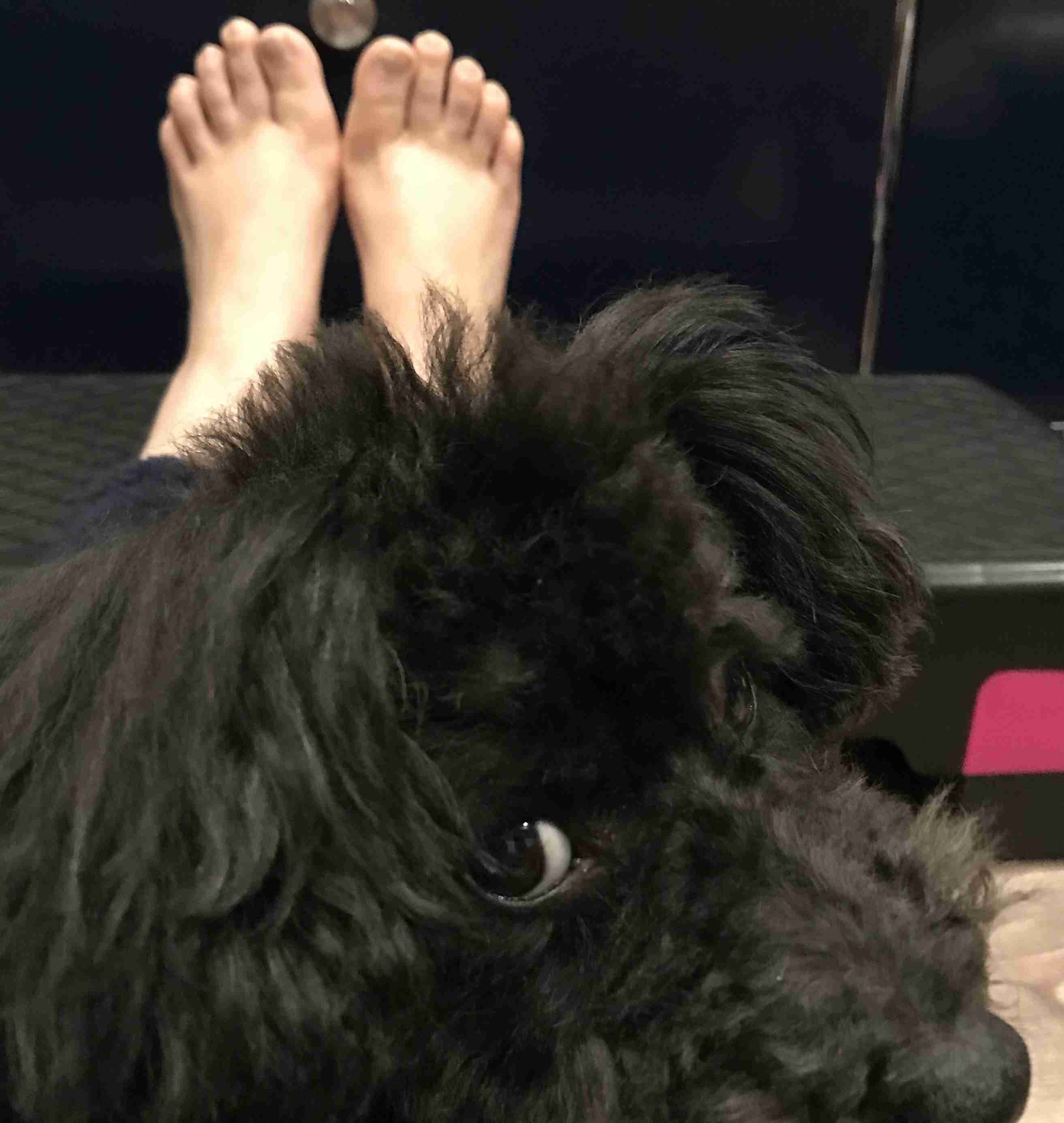 生活感溢れる写真☆part3