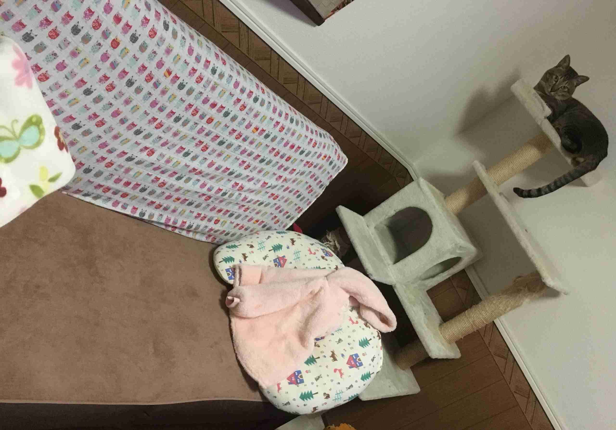 生活感溢れる写真☆part3