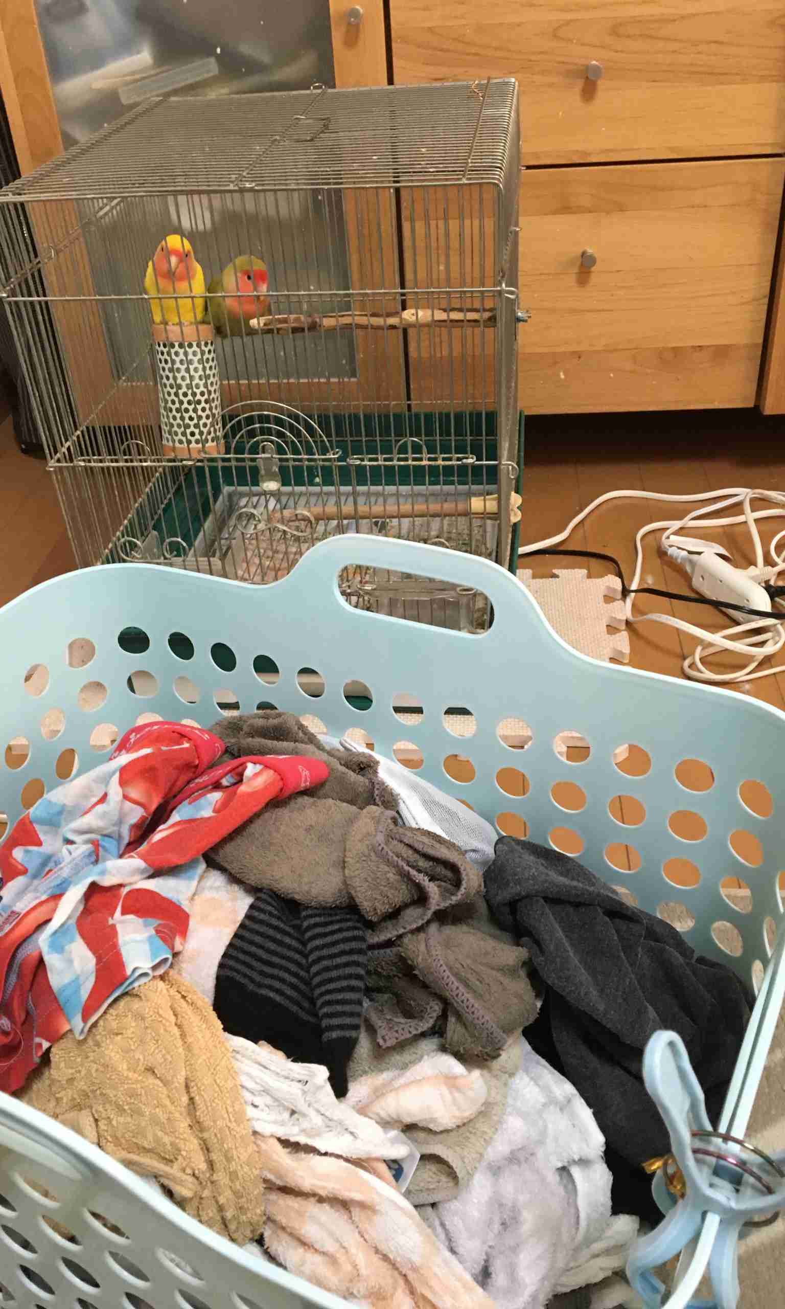 生活感溢れる写真☆part3