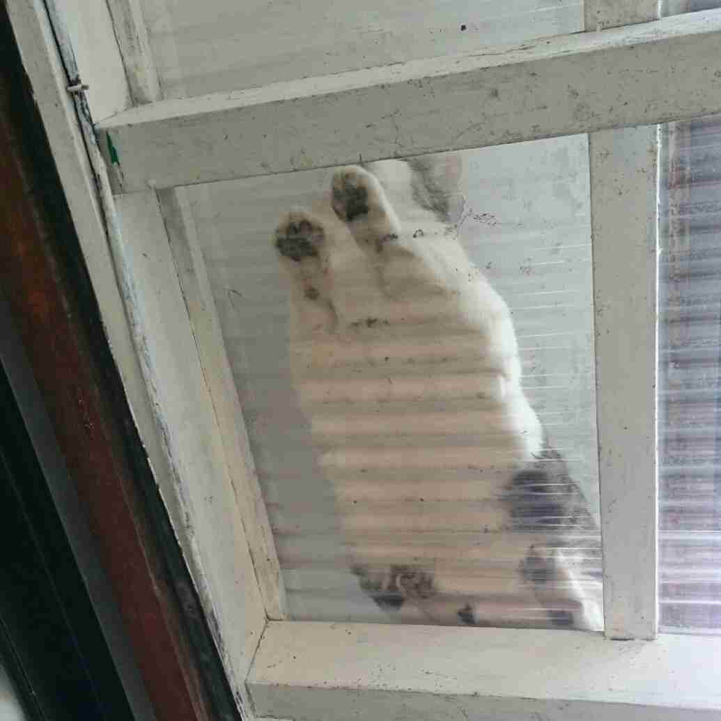 生活感溢れる写真☆part3