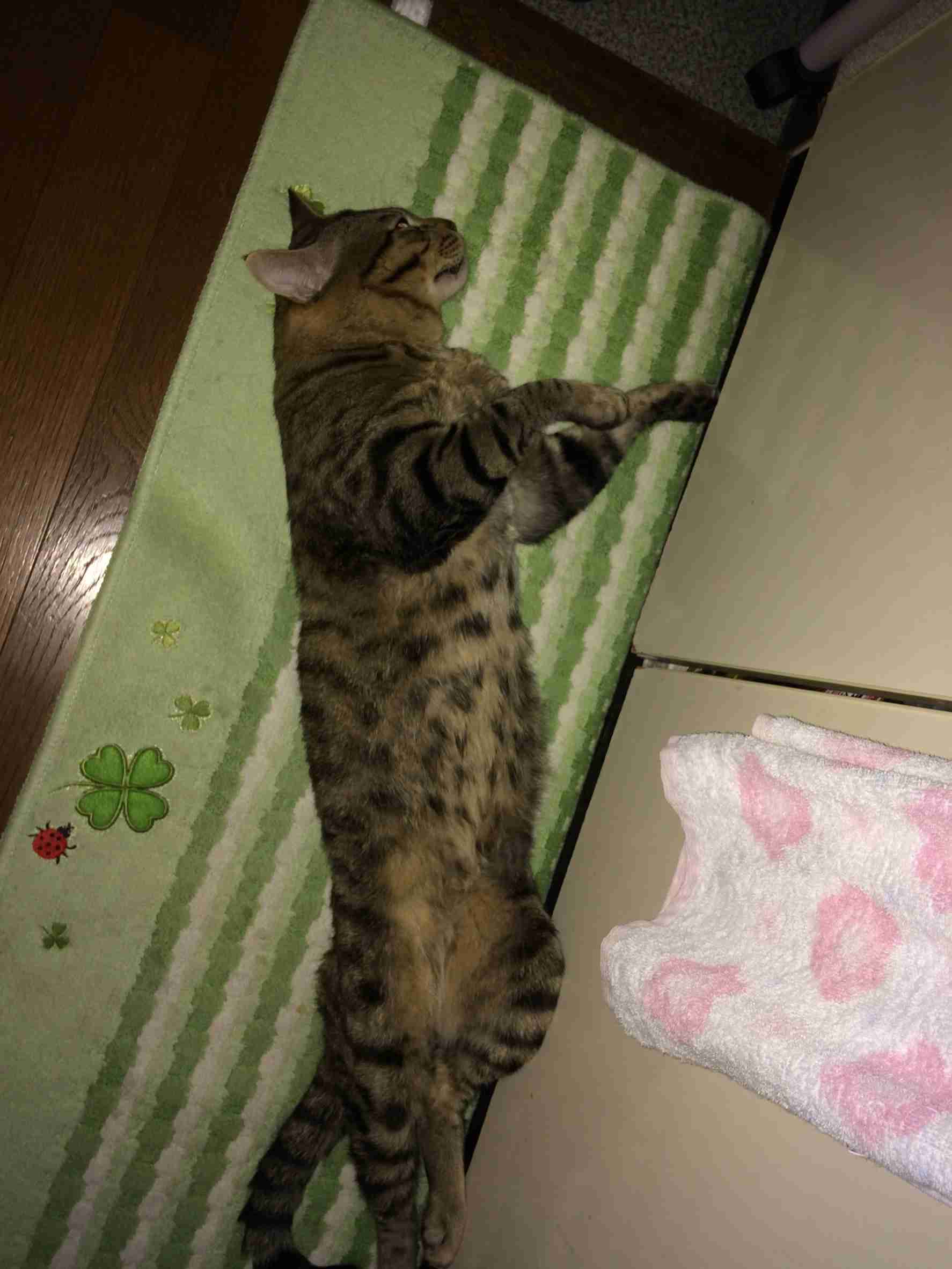 生活感溢れる写真☆part3
