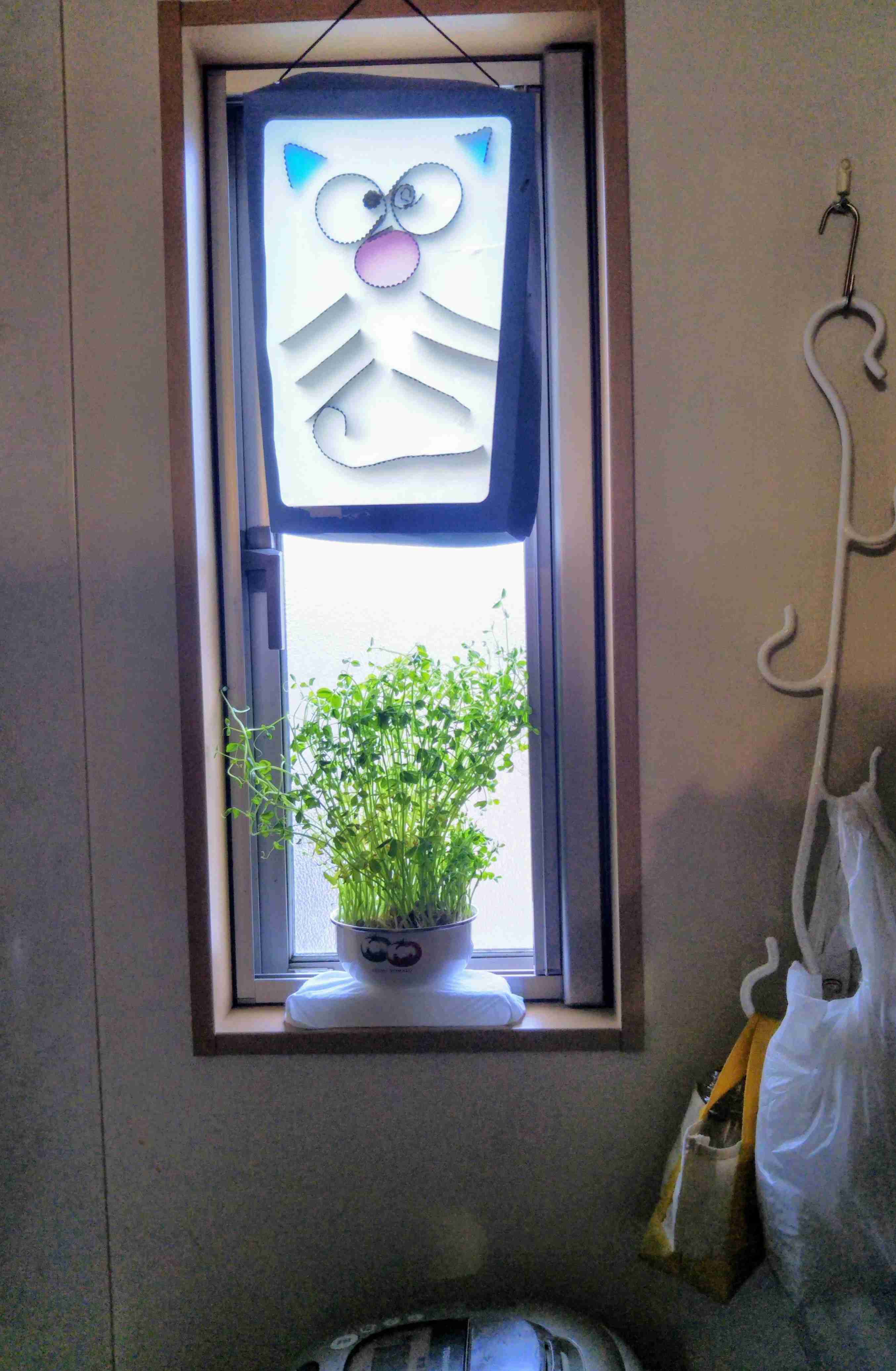 生活感溢れる写真☆part3