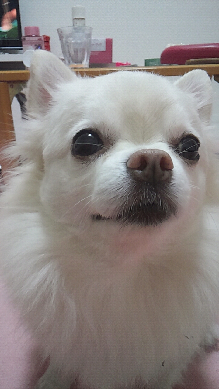 生活感溢れる写真☆part3