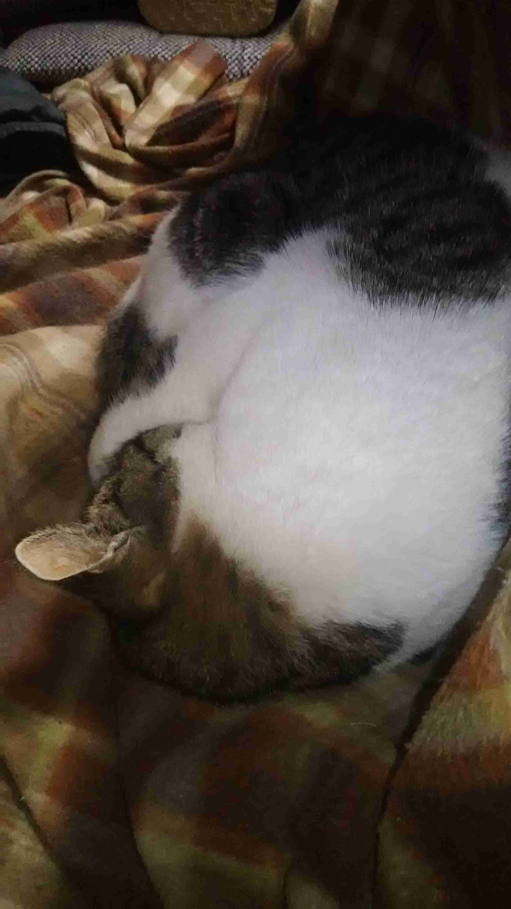 生活感溢れる写真☆part3