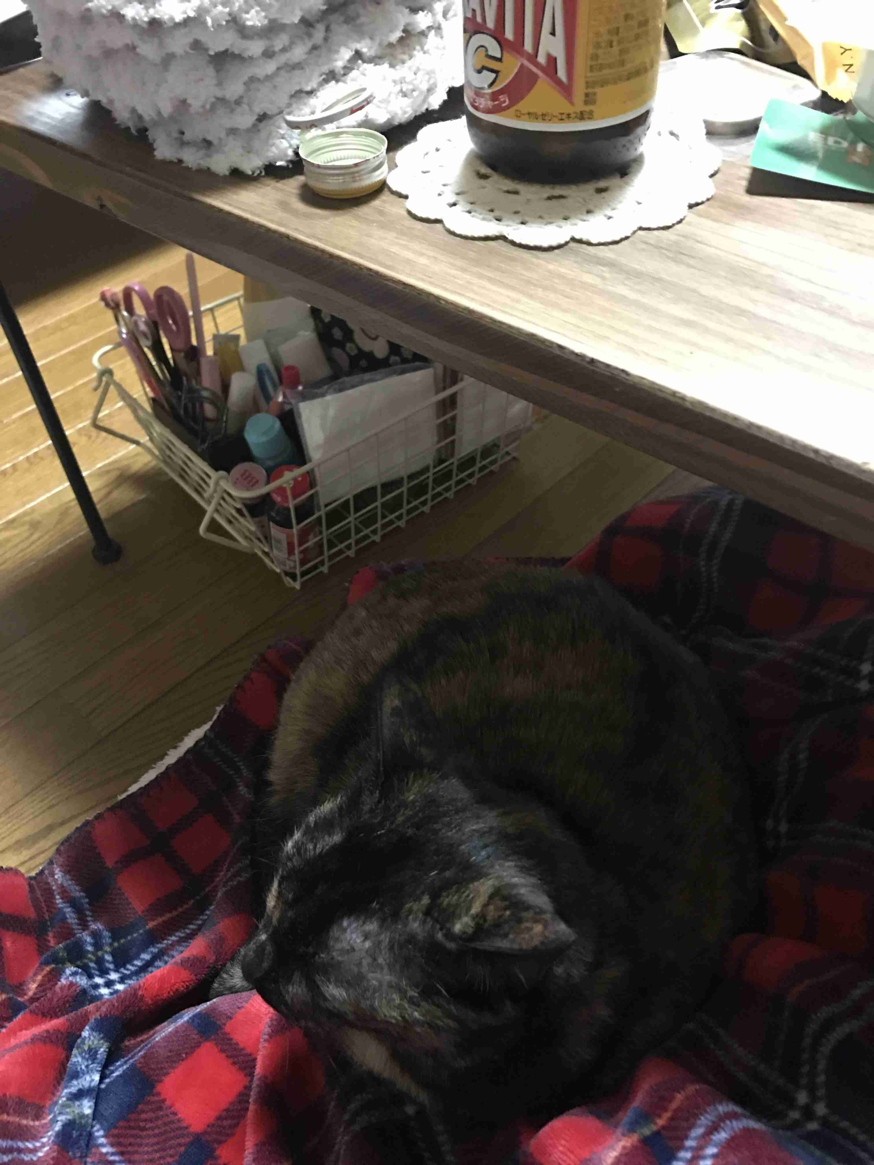 生活感溢れる写真☆part3