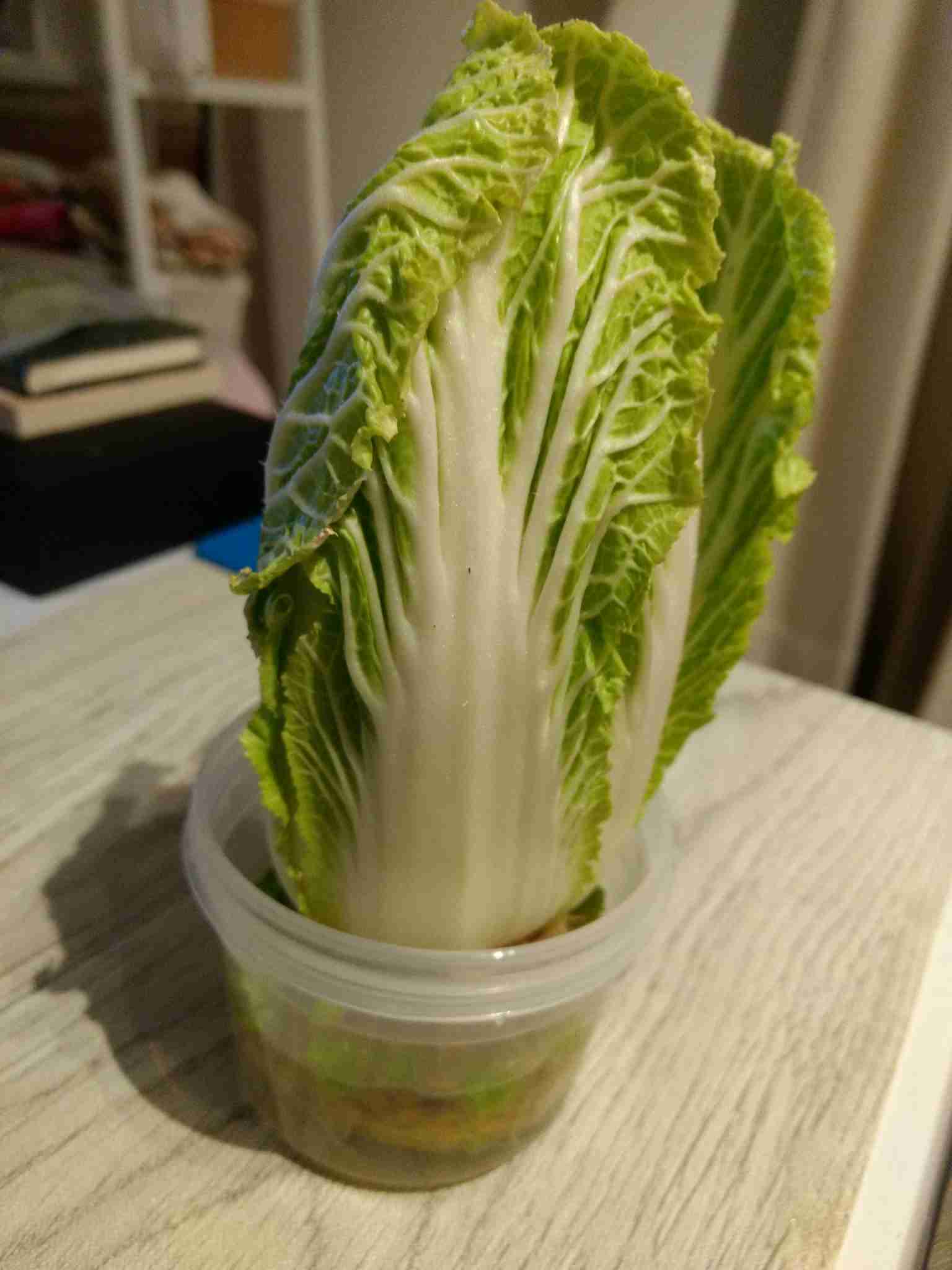 生活感溢れる写真☆part3