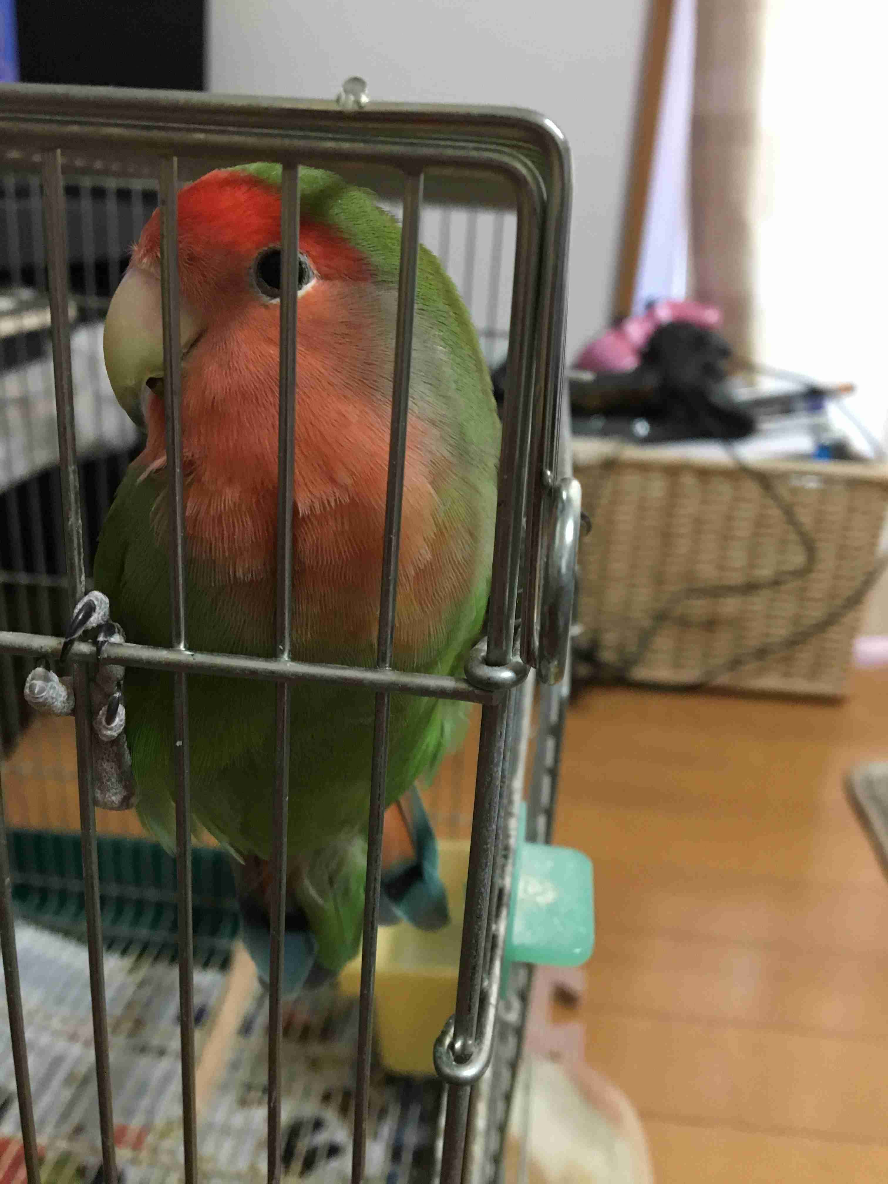 生活感溢れる写真☆part3