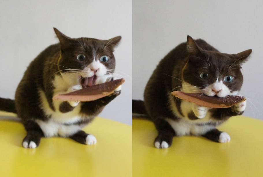 【今の気持ち】画像にセリフを付けて…