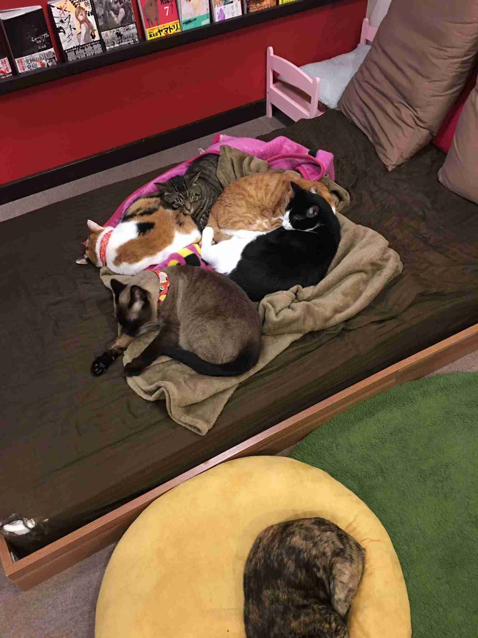 【今の気持ち】画像にセリフを付けて…