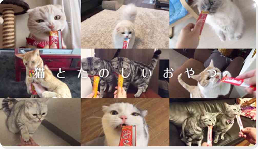 気になるCM