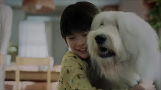 気になるCM