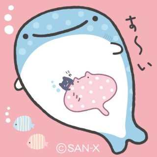 (すみっこ)が好きな人!!