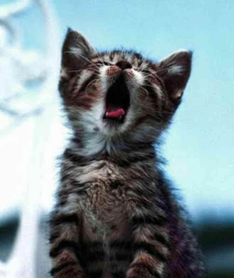 そろそろ春だぜぇ～スギちゃんみたいに喋るぜぇ～！【Part21】