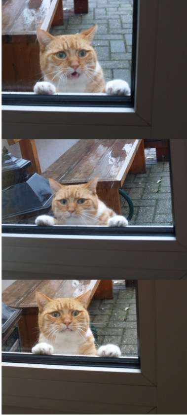 そろそろ春だぜぇ～スギちゃんみたいに喋るぜぇ～！【Part21】