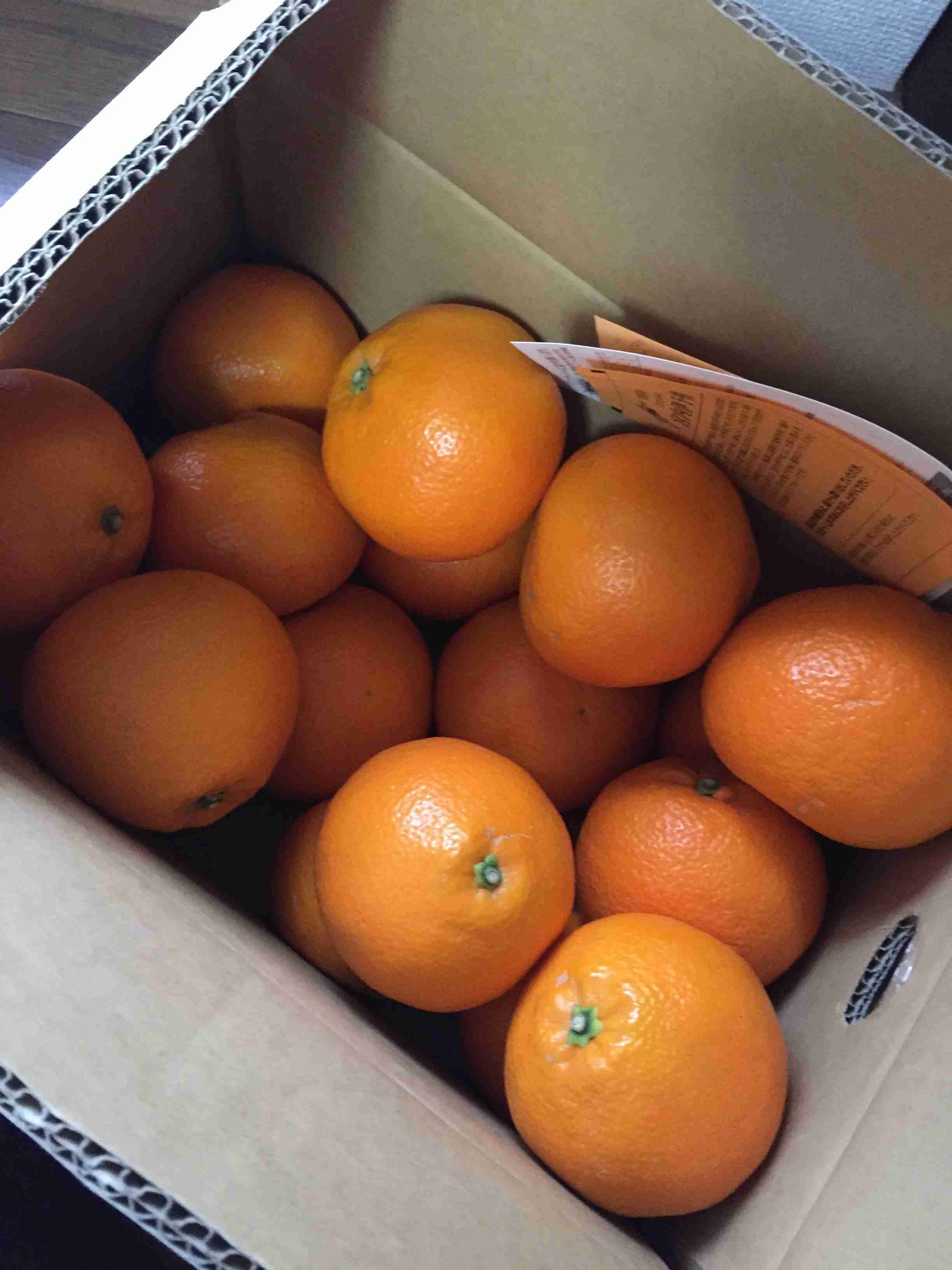 そろそろ春だぜぇ～スギちゃんみたいに喋るぜぇ～！【Part21】