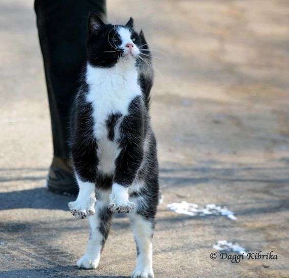 そろそろ春だぜぇ～スギちゃんみたいに喋るぜぇ～！【Part21】