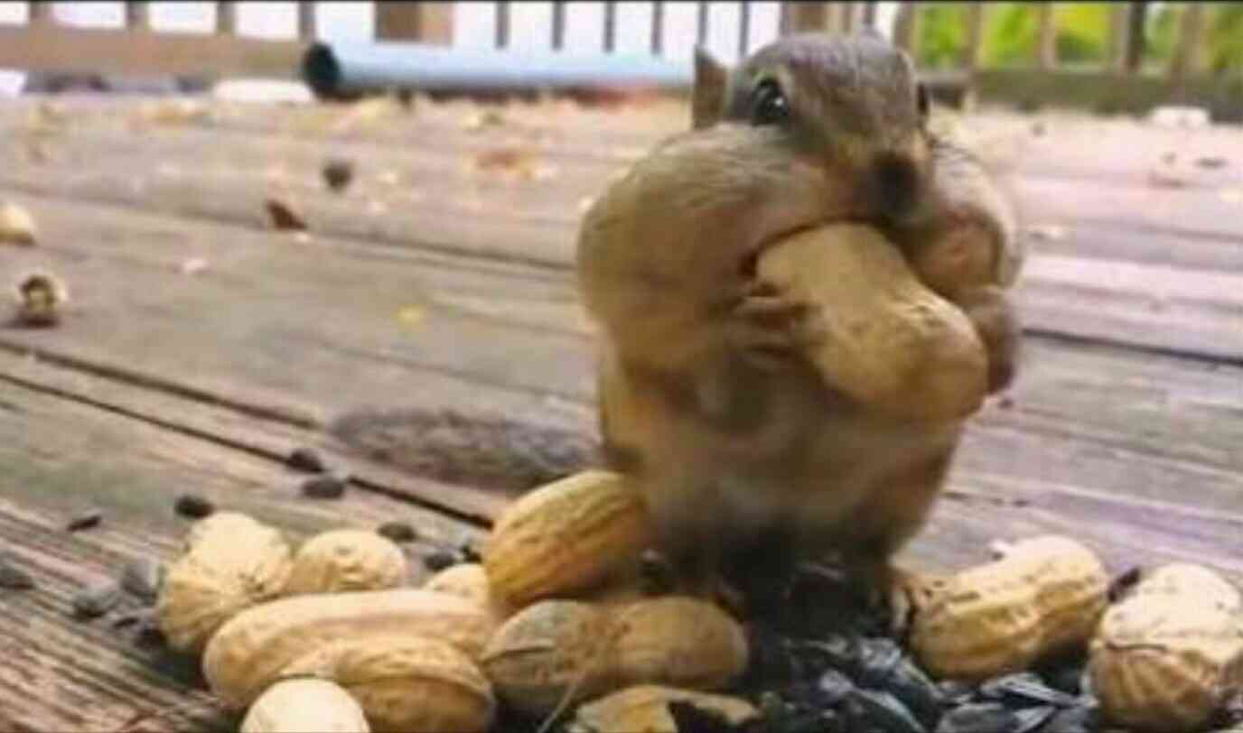 そろそろ春だぜぇ～スギちゃんみたいに喋るぜぇ～！【Part21】