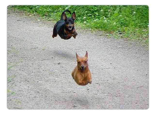 そろそろ春だぜぇ～スギちゃんみたいに喋るぜぇ～！【Part21】