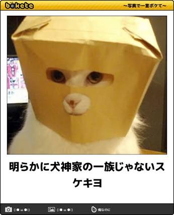 そろそろ春だぜぇ～スギちゃんみたいに喋るぜぇ～！【Part21】