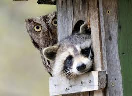 そろそろ春だぜぇ～スギちゃんみたいに喋るぜぇ～！【Part21】