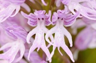 そろそろ春だぜぇ～スギちゃんみたいに喋るぜぇ～！【Part21】