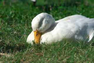 そろそろ春だぜぇ～スギちゃんみたいに喋るぜぇ～！【Part21】