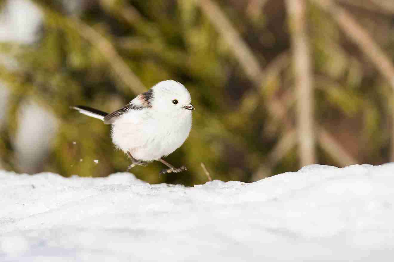そろそろ春だぜぇ～スギちゃんみたいに喋るぜぇ～！【Part21】