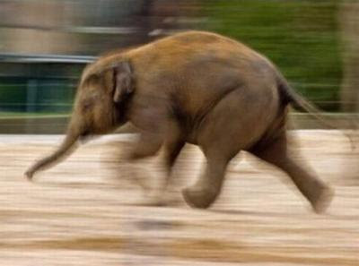 そろそろ春だぜぇ～スギちゃんみたいに喋るぜぇ～！【Part21】