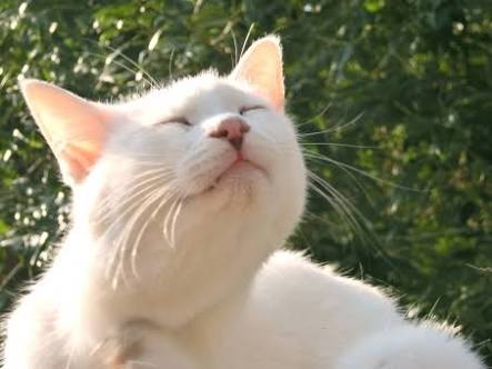 そろそろ春だぜぇ～スギちゃんみたいに喋るぜぇ～！【Part21】