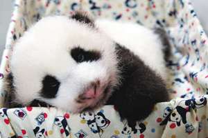 そろそろ春だぜぇ～スギちゃんみたいに喋るぜぇ～！【Part21】