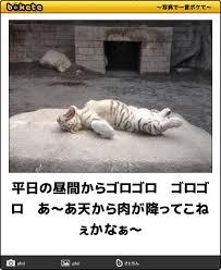 そろそろ春だぜぇ～スギちゃんみたいに喋るぜぇ～！【Part21】