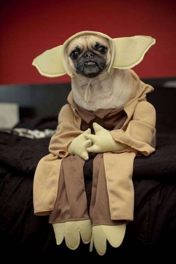 ハイレベルなコスプレと雑なコスプレが見たい