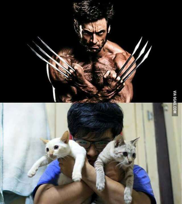 ハイレベルなコスプレと雑なコスプレが見たい