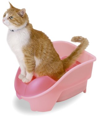 結局いらなかったもの