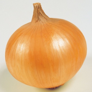 【ネタトピ】ちびまる子ちゃんの登場人物になりきって会話しよう