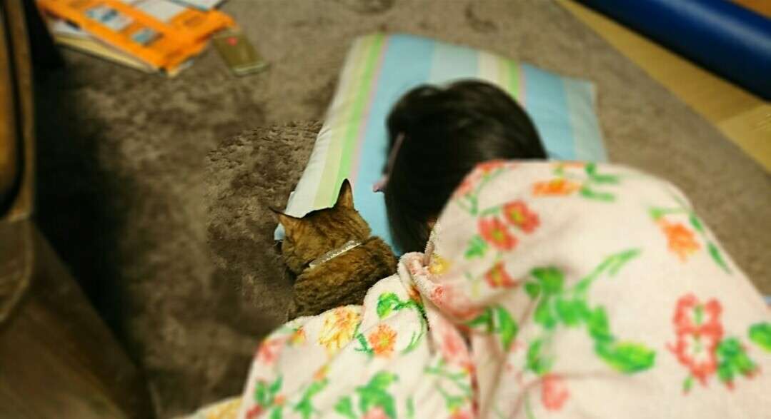 (身バレしない程度に)お宅の猫ちゃん見せてください！