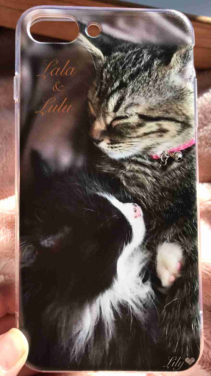 (身バレしない程度に)お宅の猫ちゃん見せてください！