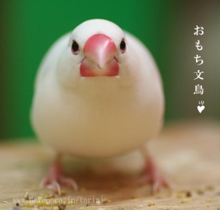 共働き夫婦との考え方の違い
