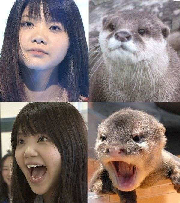 芸能人で動物園を作ろう