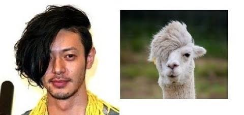 芸能人で動物園を作ろう