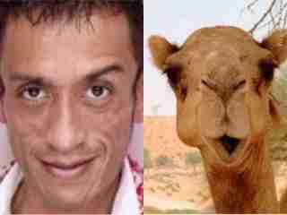 芸能人で動物園を作ろう