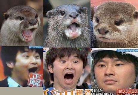 芸能人で動物園を作ろう