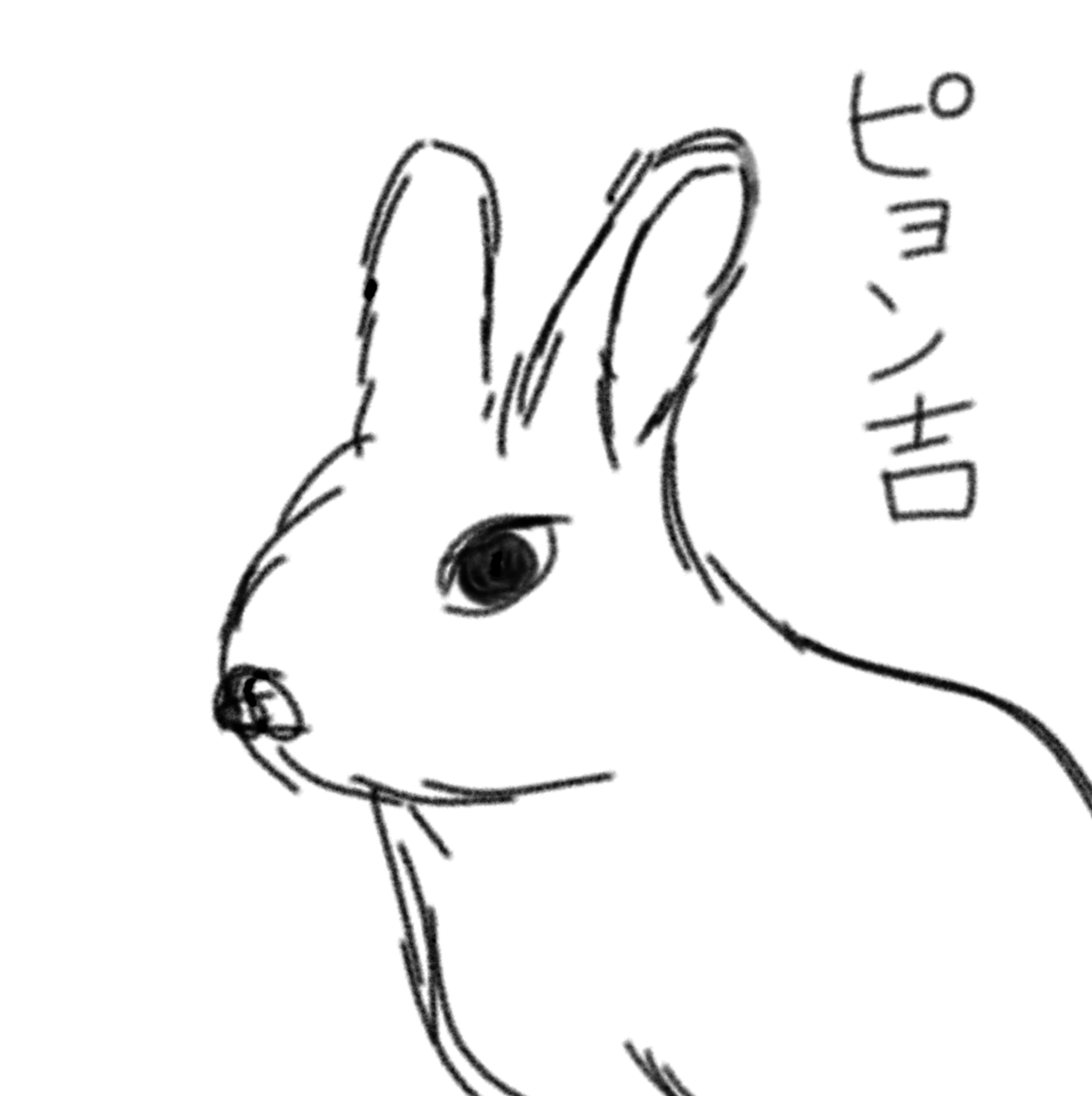 【お絵かき】うさぎの絵を描こう!