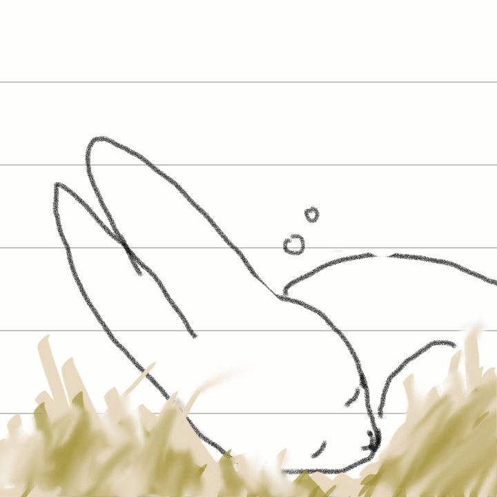 【お絵かき】うさぎの絵を描こう!