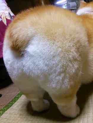 知ってる画像に＋するトピ