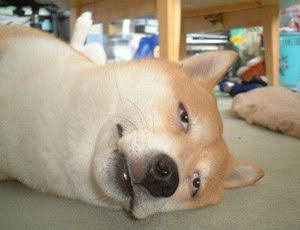 知ってる画像に＋するトピ