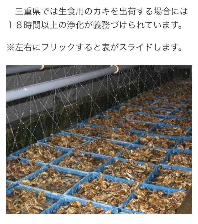 カキ食べ放題の店で集団食中毒、36人症状　三重・鳥羽