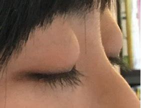 芸能人の横顔が見たい