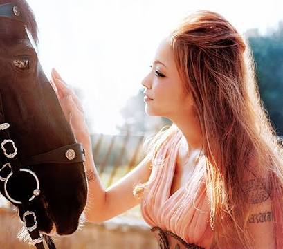 芸能人の横顔が見たい